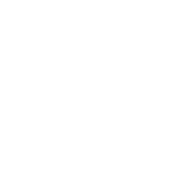 Pascal Metrics logo